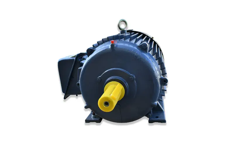 Air Compressor Services Motor Replacement - Acs-Lsn-20Hp 1
