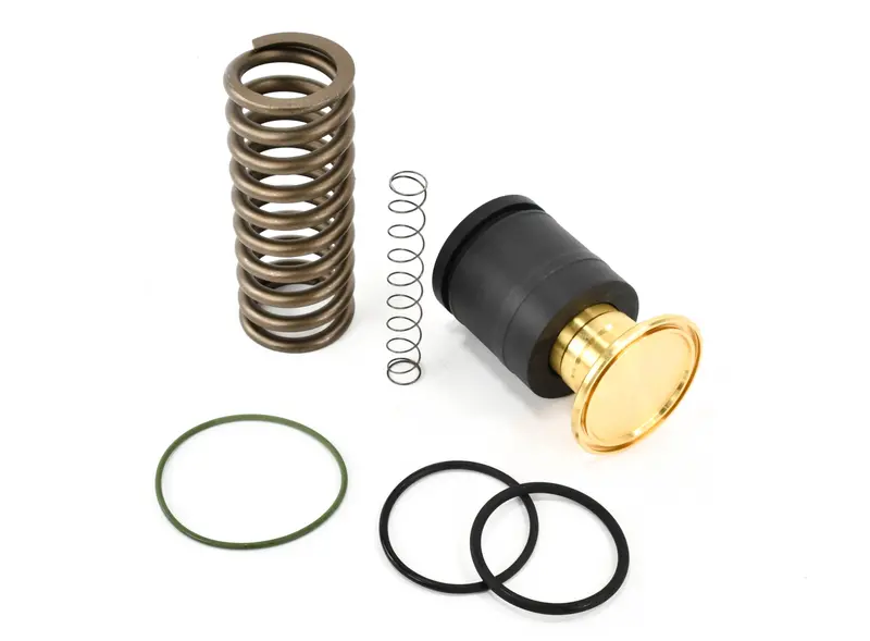 Boge Minimum Pressure Check Valve Kit Replacement - 223090467P 1