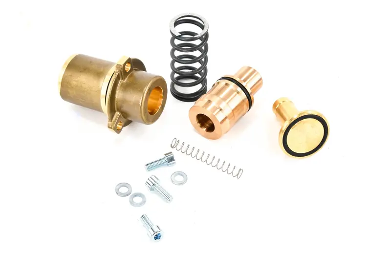 Boge Minimum Pressure Check Valve Repair Kit Repalcement - 2231308667P 1