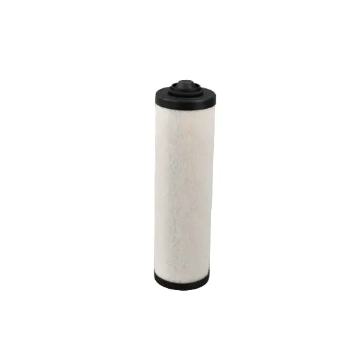 Busch Exhaust Filter Replacement - 532917477 1