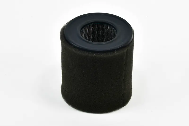 Champion Air Filter Replacement - P05533a 1