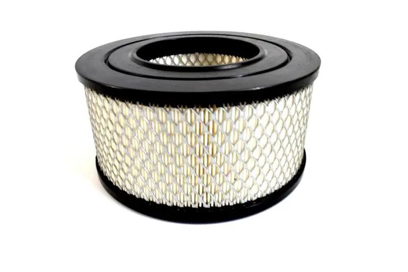 Champion Air Filter Replacement - P4224a 1