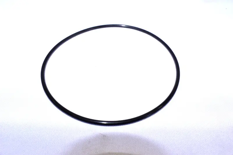 Champion Oring Replacement - P10972a 1