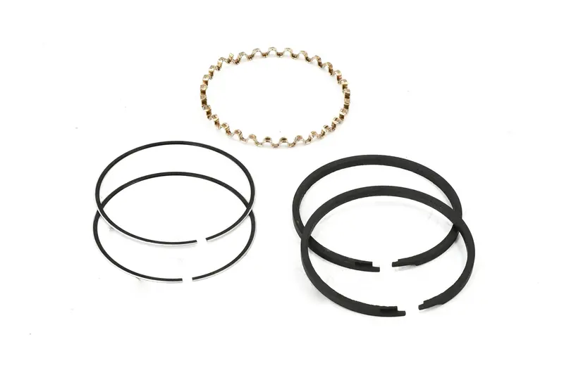 Champion Piston Ring Kit Replacement - Z-797 1