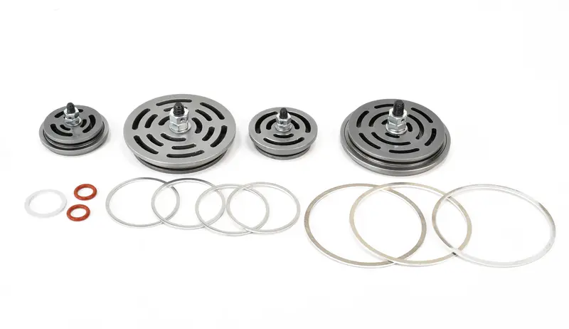 Champion Valve Set Replacement - Z656 1