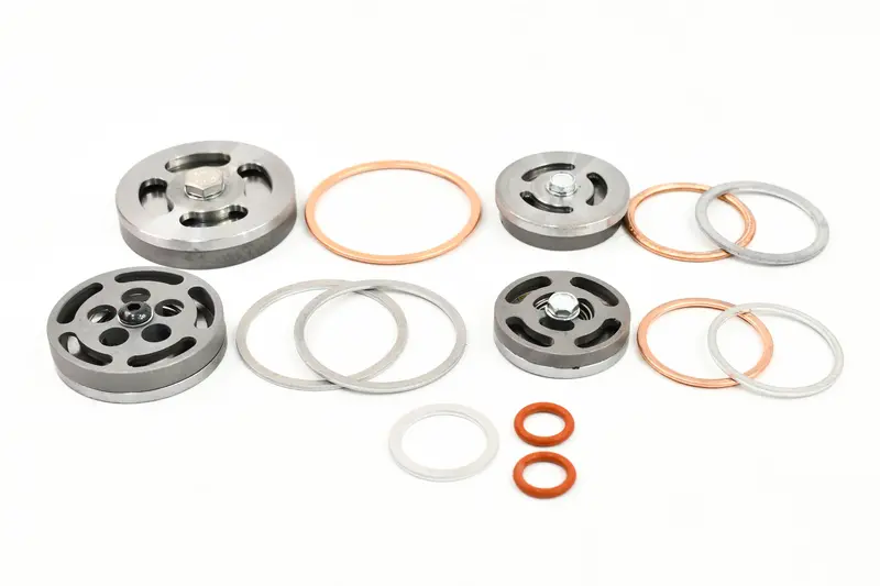 Champion Valve Set With Gaskets - Z5155 1
