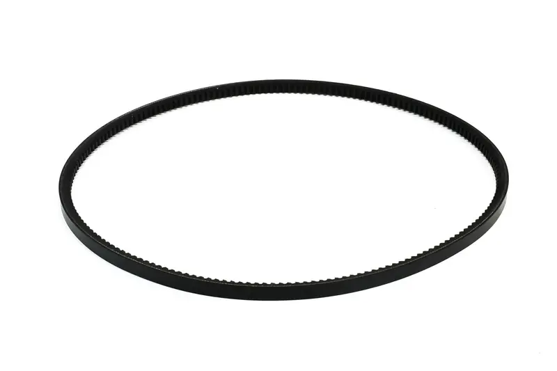 Curtis Belt Replacement - 2113019969 1