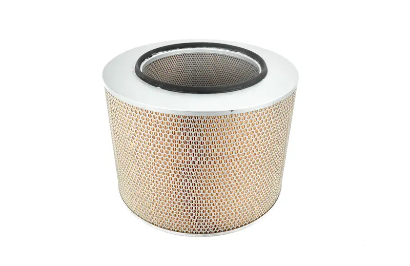 Elgi Air Filter Replacement - B004700770037 1