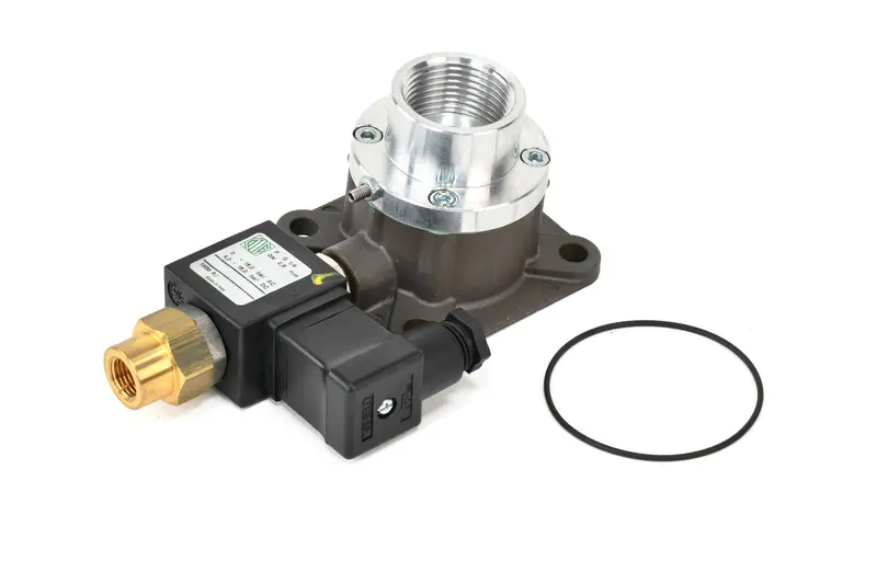 Elgi Inlet Valve Replacement - B009800780010 1