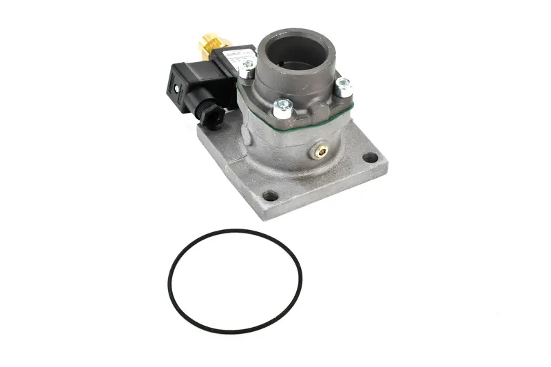 Elgi Inlet Valve Replacement - B009800780016 1
