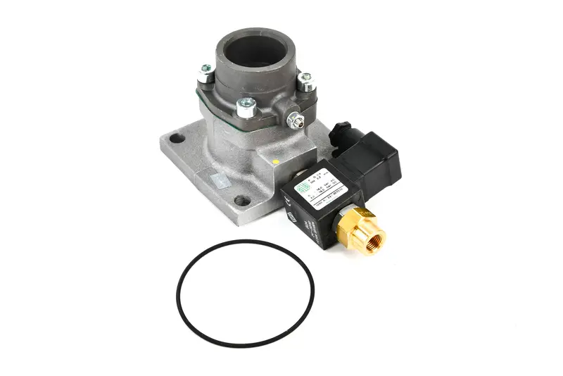 Elgi Inlet Valve Replacement - B009800780016 2