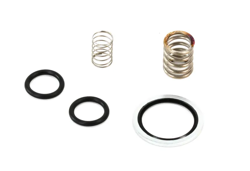 Elgi Minimum Pressure Check Valve Kit Replacement - A990288 1