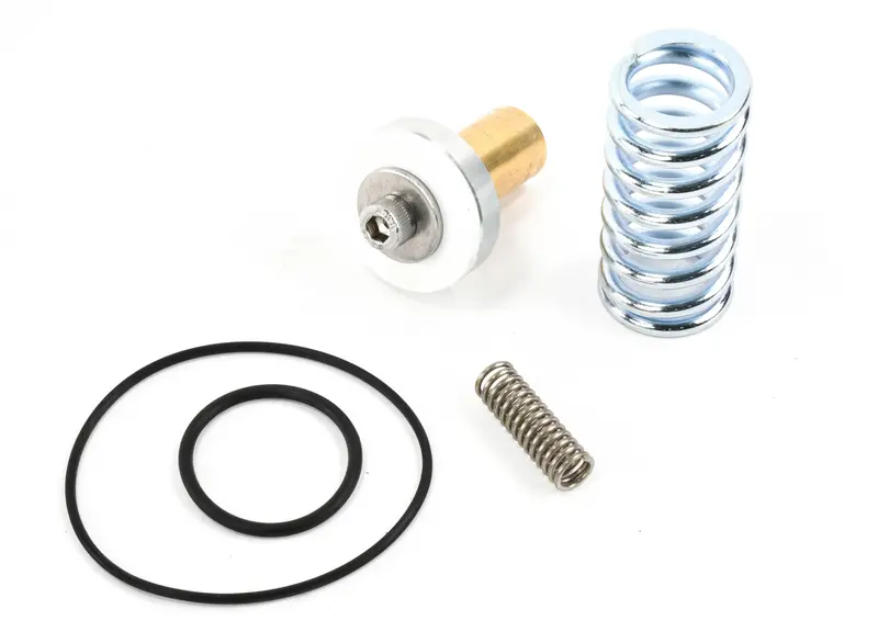 Elgi Minimum Pressure Check Valve Kit Replacement - A990293 1