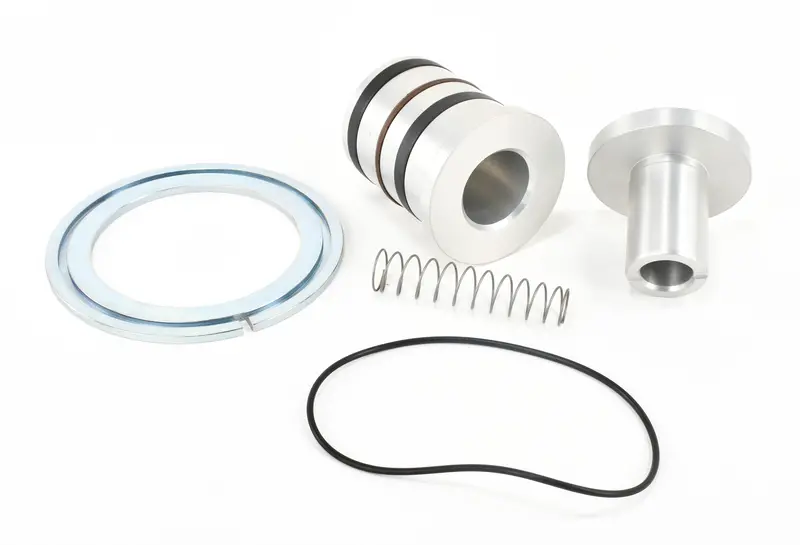 Elgi Minimum Pressure Check Valve Kit Replacement - B009301070004 1