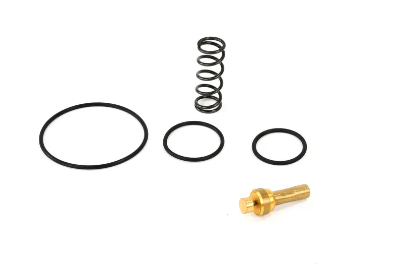 Elgi Minimum Thermal Valve Kit Replacement - A990287 1