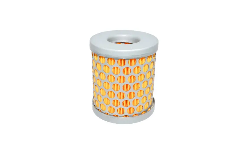 Elmo Rietschle Air Filter Replacement - 731142 1