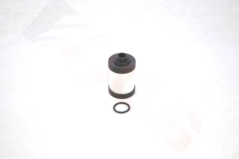 Elmo Rietschle Separator Replacement - 731399 1