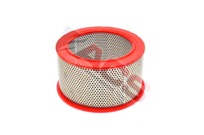 Fiac Air Filter Replacement - 7215200000 1