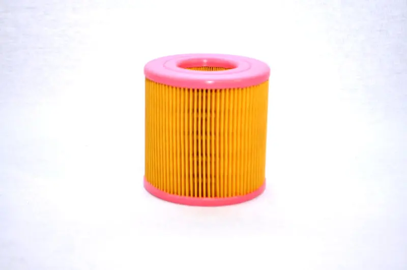 Fs Curtis Air Filter Replacement - 2116040125 1