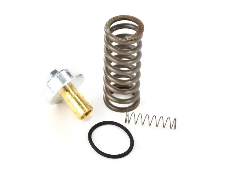 Fs-Curtis Minimum Pressure Check Valve Kit Replacement - Rn42126-1 1
