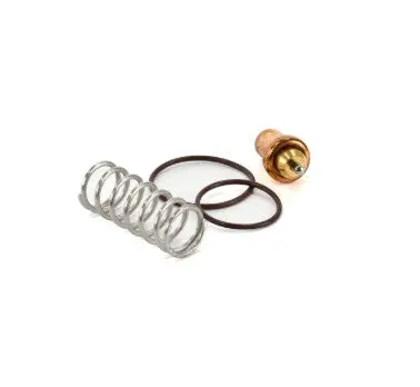 Fs Curtis Thermostatic Valve Replacement - 2605695780 1