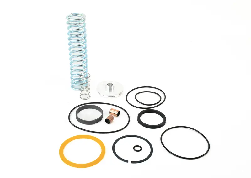 Gardner Denver Inlet Valve Repair Kit Replacement - Efc89555469 1