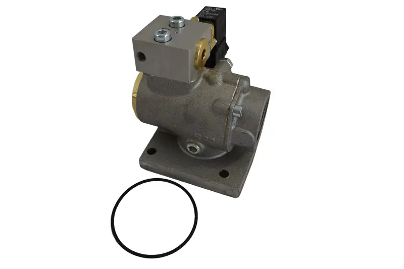 Gardner Denver Inlet Valve Replacement - 221423F 1