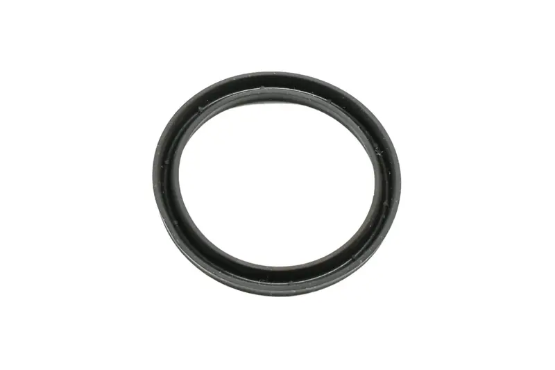 Gardner Denver Packing Ring Replacement - 60Am46 1