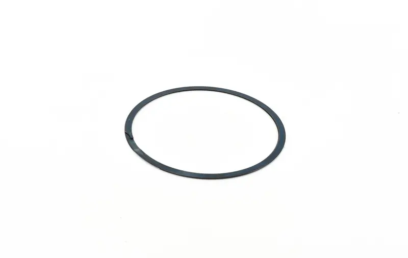 Gardner Denver Ring Replacement - 74D55 1
