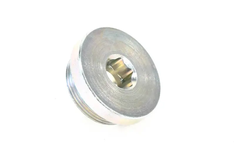 Gardner Denver Thermal Mixing Valve Plug Kit Replacement - 224036 1