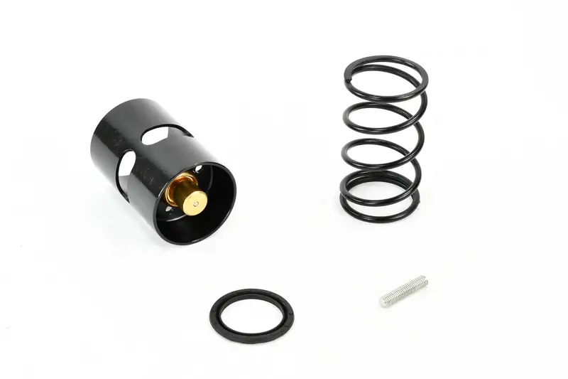 Gardner Denver Thermal Valve Replacement - A11511974 1