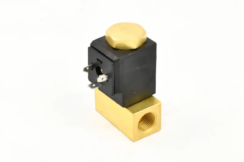 Hankison Auto Drain Valve - 3161248 1