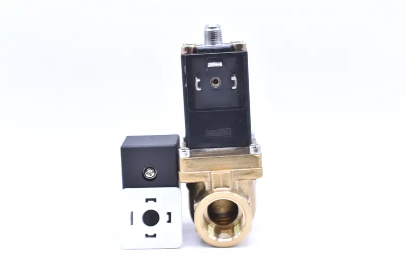 Ingersoll Rand Blowdown Valve Replacement - 39123070 1