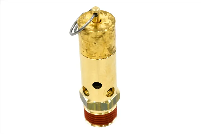Ingersoll Rand Check Valve Replacement - 35254952 1