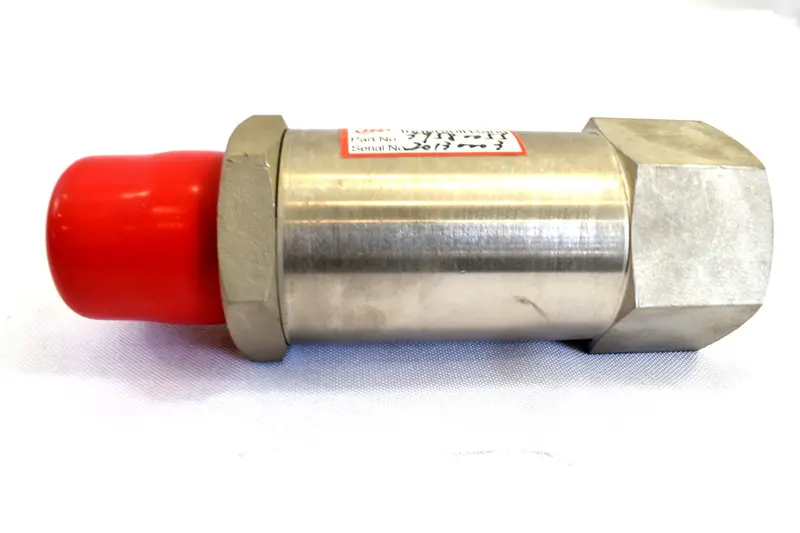 Ingersoll Rand Check Valve Replacement - 39580055 1