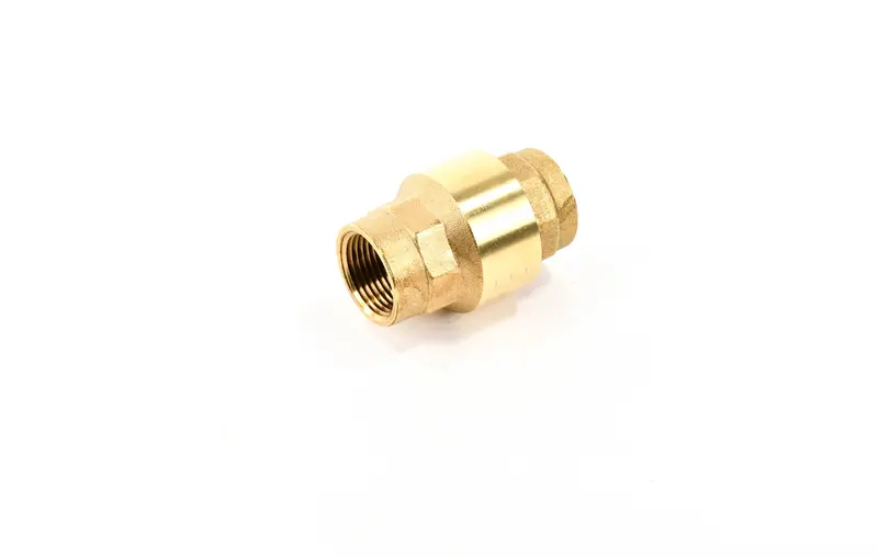 Ingersoll Rand Check Valve Replacement - 47787971003 1
