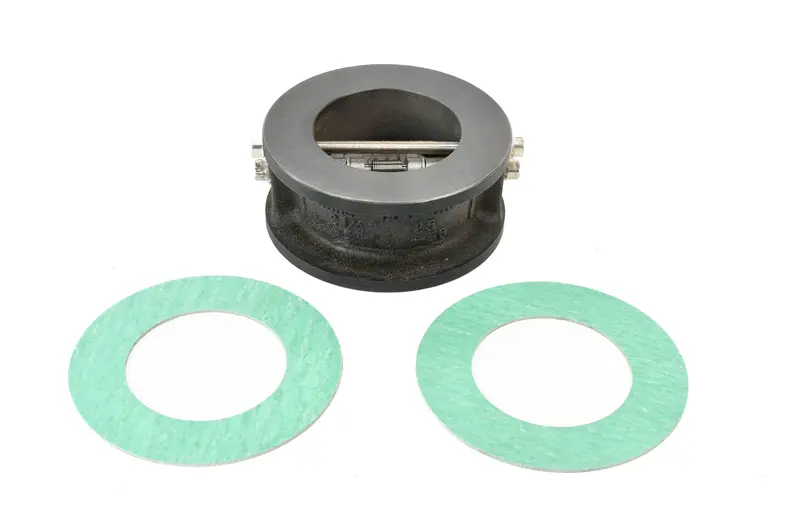 Ingersoll Rand Discharge Check Valve Replacement - 47701208001 1