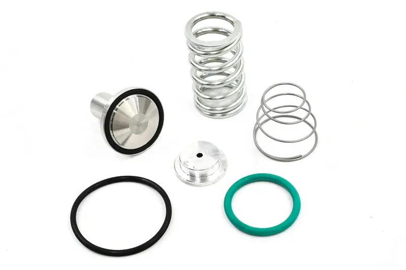 Ingersoll Rand Minimum Pressure Check Valve Kit - 24509200 1