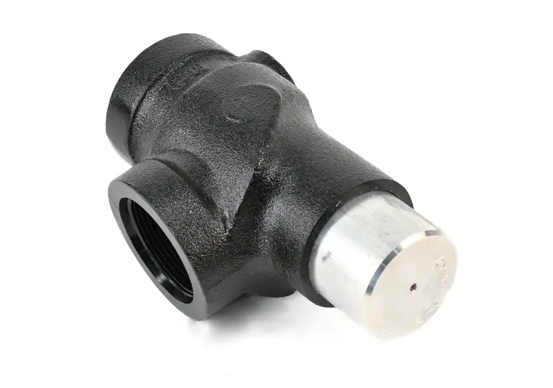 Ingersoll Rand Minimum Pressure Check Valve Replacement - 39475637 1