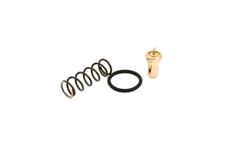 Ingersoll Rand Thermal Valve Kit Replacement - 49144587001 1