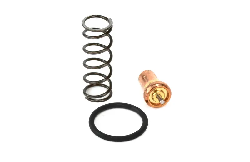 Ingersoll Rand Thermal Valve Kit Replacement - 49144603001 1