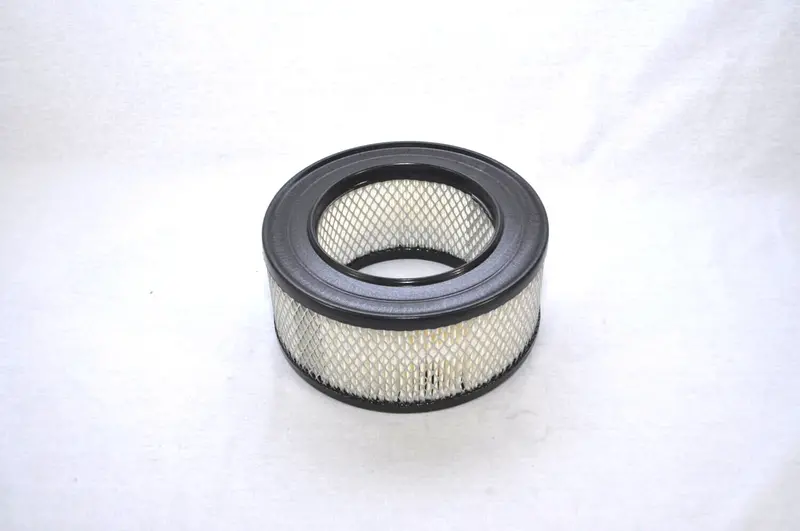 Joy Air Filter Replacement - 01660998 1