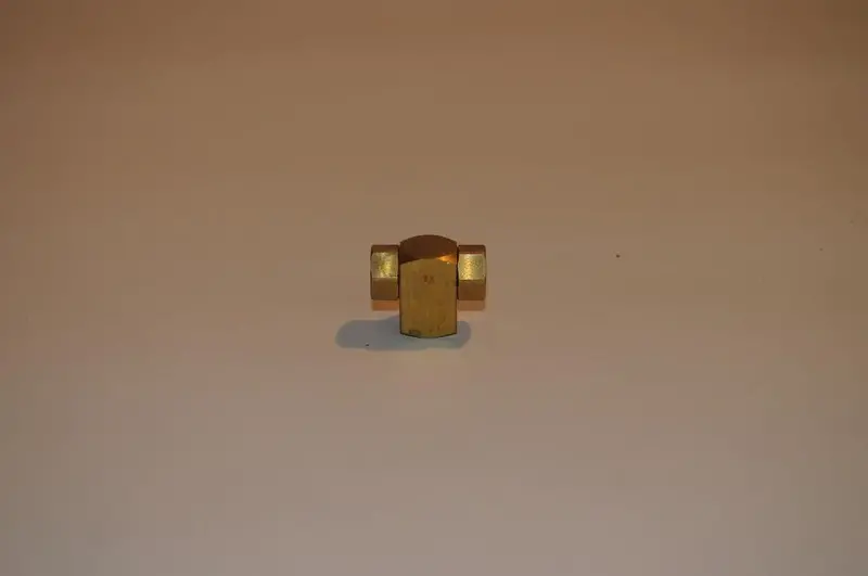 Joy Check Valve Replacement - 0701701-128 1