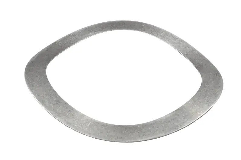 Joy Outer Valve Spring Replacement - 00041565W 1