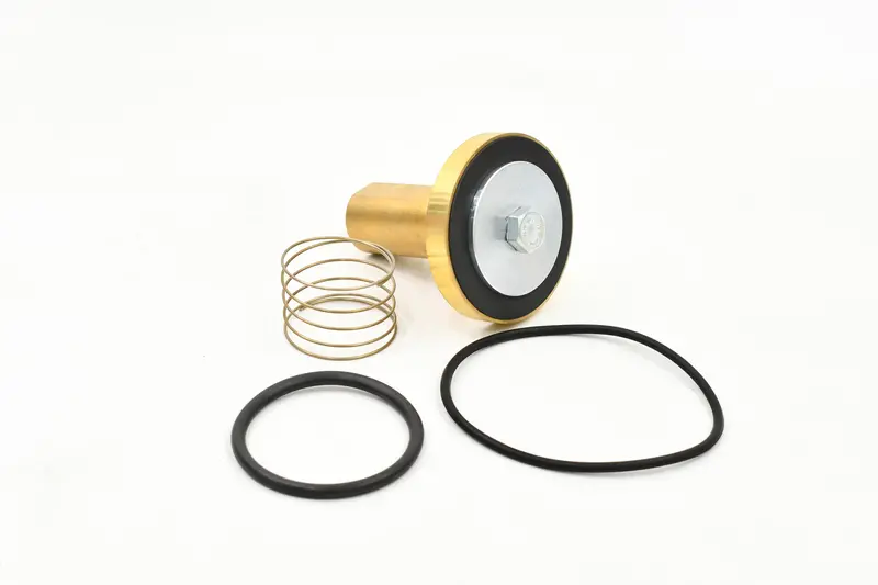 Kaeser Minimum Pressure Check Valve Kit Replacement - 400711.10021 1