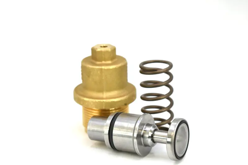 Kaeser Minimum Pressure Check Valve Kit Replacement - 401820.1 1
