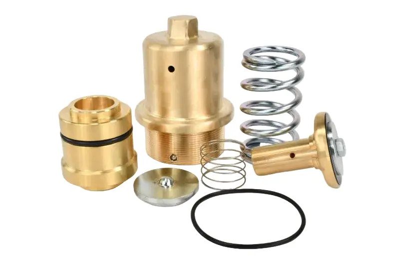 Kaeser Minimum Pressure Check Valve Overhaul Kit Replacement - 202127.20020 1