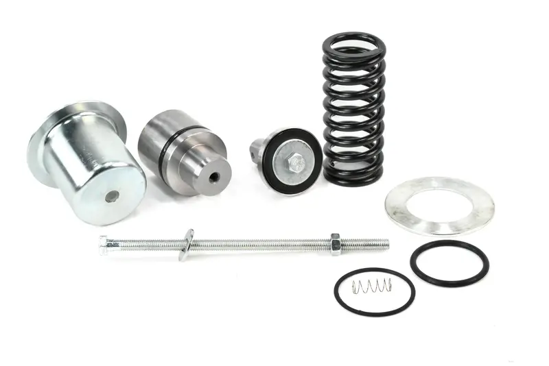 Kaeser Minimum Pressure Check Valve Overhaul Kit Replacement - 400983.2 1