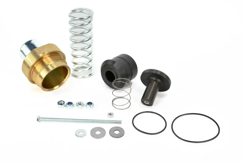 Kaeser Minimum Pressure Check Valve Repair Kit Replacement - 205795.2 1