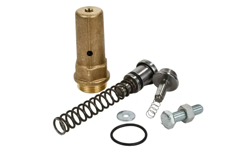 Kaeser Mpcv Kit Replacement - 2.8812.1 1